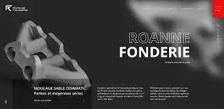 Roanne Fonderie Aluminium