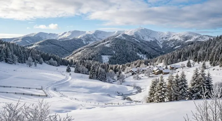 Les Monts du Forez en hiver : ski de fond, raquettes et stations de Chalmazel